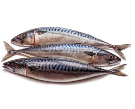 Рыба Скумбрия с/м н/р 300-600 1 кг